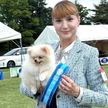 ポメラニアン【宮城県・女の子・2025年3月28日・ホワイト/クリーム】の写真「ティーカップポメラニアン」