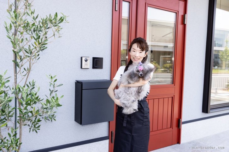 楠本　恭子(くすもと　きょうこ)ブリーダー(大阪府・トイプードル・JKC登録)の紹介写真2
