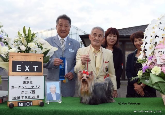 初めてのカードです。