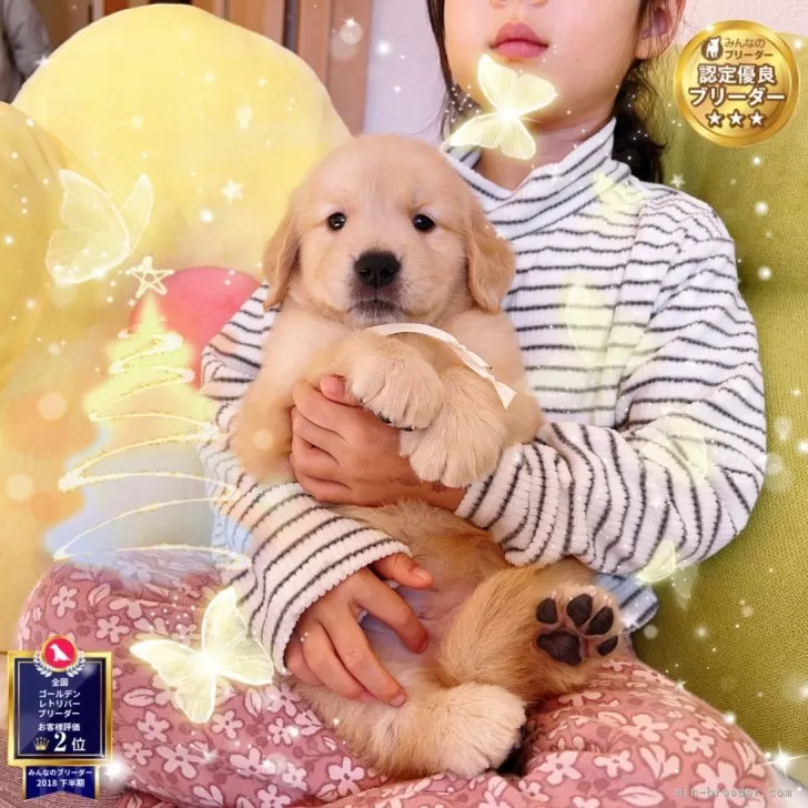 H.U 様のお迎えした子犬