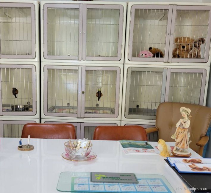 犬舎は、冷暖房完備です。｜江田　正子(こうだ　まさこ)ブリーダー(福岡県・トイプードルなど・JKC登録)の紹介写真5
