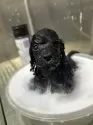 ミニチュアプードル【静岡県・女の子・2025年8月23日・ブラック】の写真12「生後42日　入浴中🐶🛁」