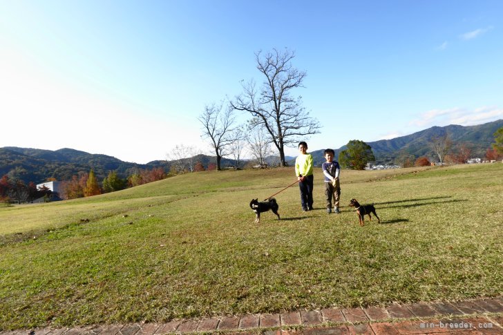 周辺環境も最高♪徒歩３分のところにグリーンヒルズの広い公園があります。｜山岡　修志(やまおか　しゅうじ)ブリーダー(岡山県・ミニチュアピンシャーなど・JKC/日本犬保存会/KC登録)の紹介写真8