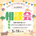 トイプードル(トイ)【千葉県・女の子・2025年1月21日・レッド】の写真2