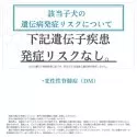 フレンチブルドッグ【千葉県・女の子・2025年10月6日・ブリンドル】の写真5「【遺伝子検査を実施済み🧬】遺伝子疾患発症リスクなし！」