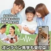 ポメマル(マルチーズ×ポメラニアン)【千葉県・男の子・2025年10月5日・ブラックホワイト】の写真8「「現地まで直接来る時間がない…」そんな方もOK！スマホで見学可能📲✨」