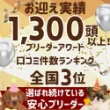チワワ(ロング)【千葉県・男の子・2025年3月13日・フォーン】の写真2「🏅 口コミもぜひご覧ください👀 👑素敵なご縁をありがとうございます✨」