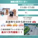 チワプー(チワワ×トイプードル)【千葉県・女の子・2025年9月2日・ブラック】の写真2「🚙高速降り口から約10分！11時～17時🐶毎日見学OK🌸」