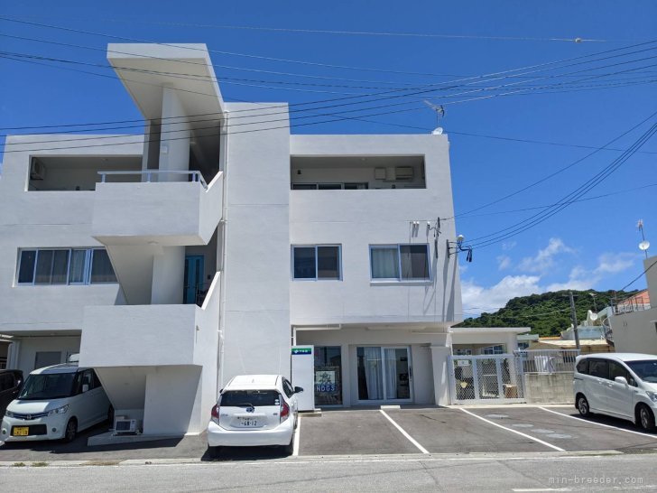 山城　元子(やましろ　もとこ)ブリーダー(沖縄県・トイプードル・JKC登録)の紹介写真4