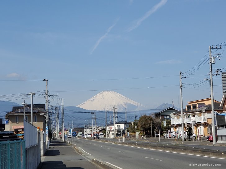 晴れた日は近くの幹線道路から富士山がくっきり見えます🎵｜宮村　佳子(みやむら　けいこ)ブリーダー(神奈川県・トイプードルなど・JKC/AID登録)の紹介写真3