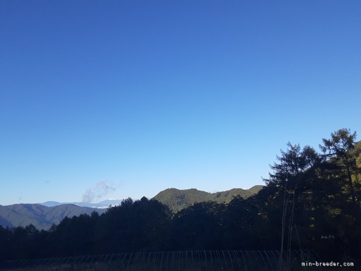 前方遥かに乗鞍岳等が見えます｜阿部　ひとみ(あべ　ひとみ)ブリーダー(長野県・トイプードルなど・JKC/KCジャパン登録)の紹介写真1