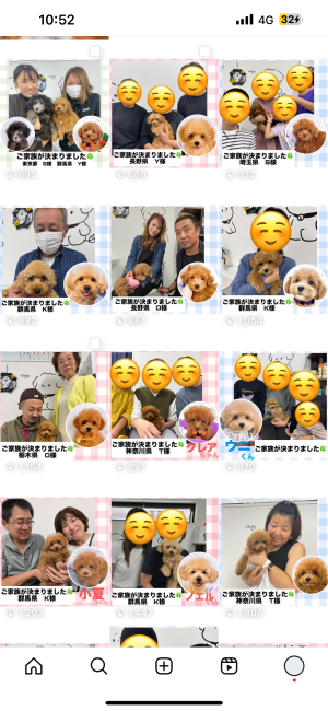 五十嵐千枝ブリーダーのブログ:沢山のfamilyとのご縁ありがとうございます♥️