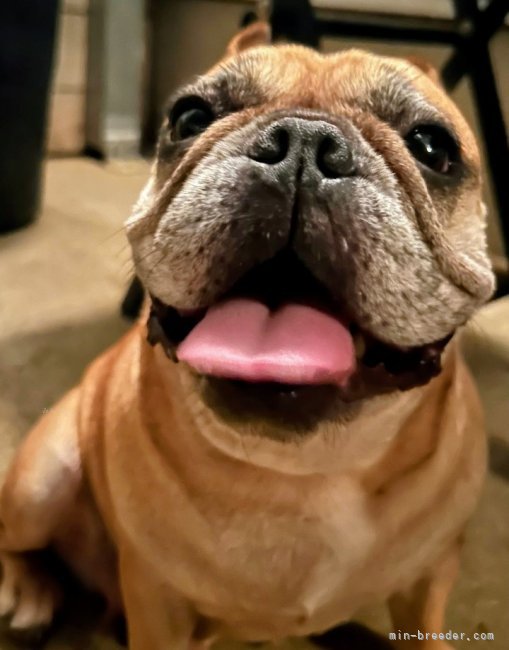 名嘉山正美ブリーダー