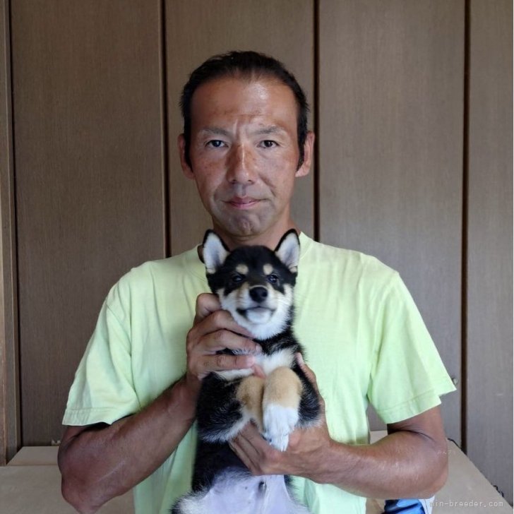 平井貴大ブリーダー