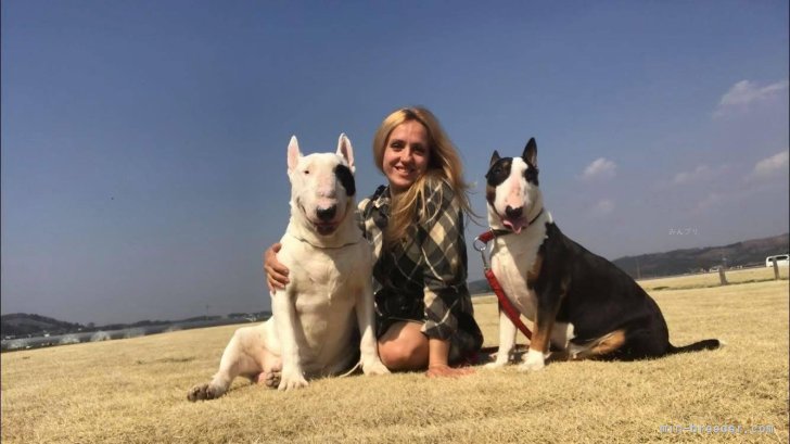 ナタリヤマニコブリーダー