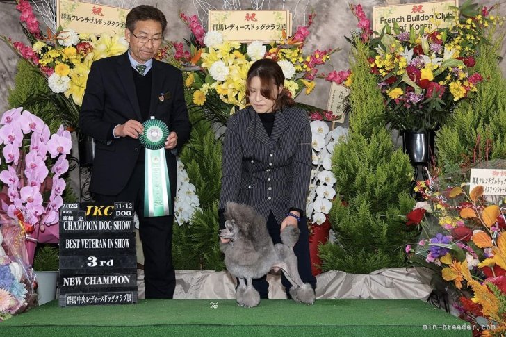 窪田　佳奈恵(くぼた　かなえ)ブリーダー(長野県・ビションフリーゼなど・JKC登録)の紹介写真6