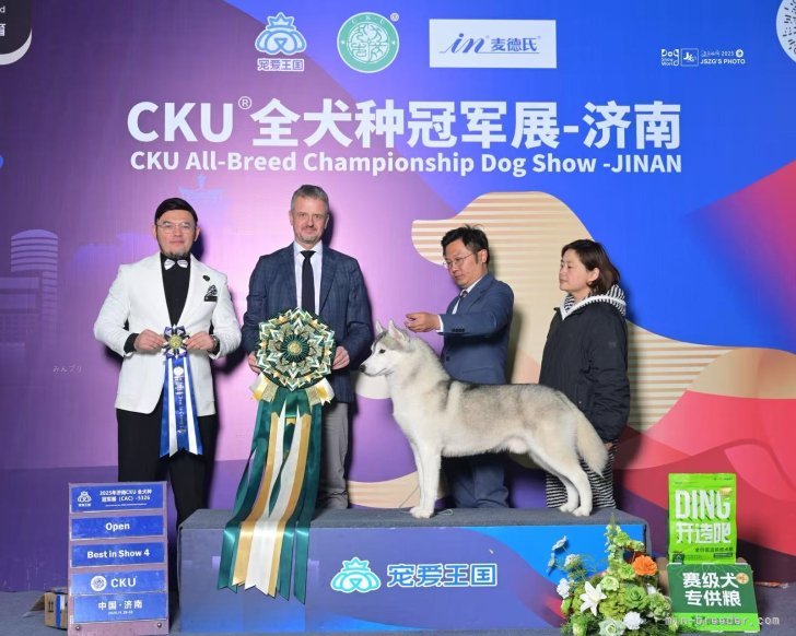 李楡燁ブリーダーのブログ：Day2済南｜🦌