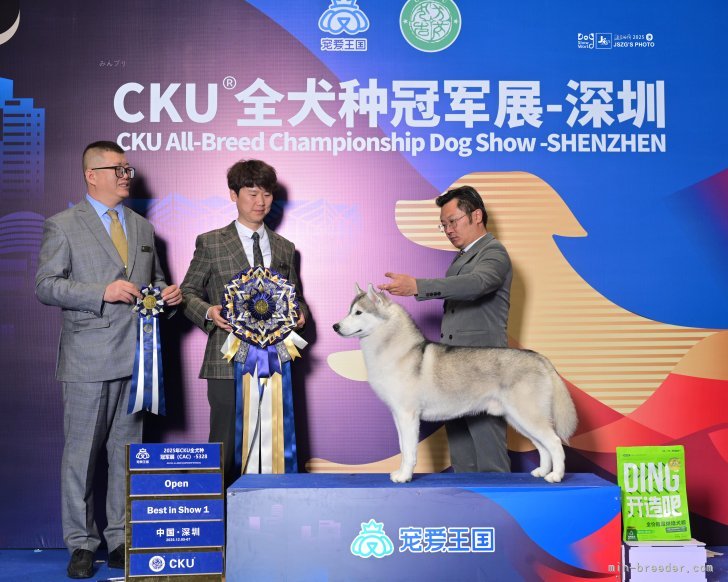 李楡燁ブリーダーのブログ：Best In Show❤️‍🔥