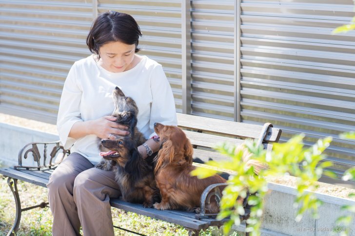 所有ドッグランにて。ファミリー犬は皆仲良しです｜藤本　恭子(ふじもと　やすこ)ブリーダー(香川県・ボーダーコリーなど・JKC登録)の紹介写真1