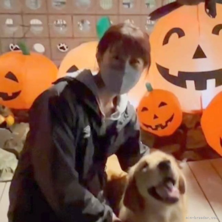 小椋由美子ブリーダー