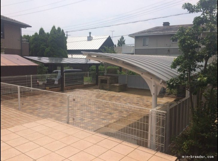 当犬舎です。｜野田　研一(のだ　けんいち)ブリーダー(滋賀県・ポメラニアンなど・JKC/日本コリークラブ(JCC)登録)の紹介写真4