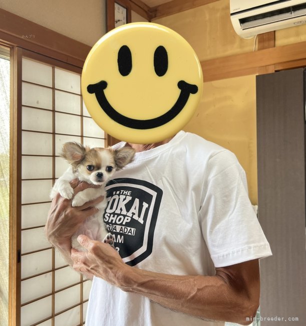 河野奈緒美ブリーダーのブログ：東へ西へ♡