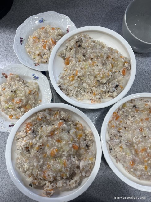 わんちゃん達のご飯は手作りご飯、ワンモアごはん、k9ナチュラル、オリジンパピーです｜藤本　久美子(ふじもと　くみこ)ブリーダー(兵庫県・トイプードル・JKC登録)の紹介写真4