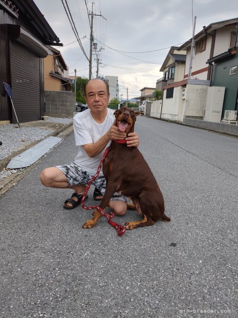 ペットのドーベルマンと犬舎の隣で｜堀川　秀人(ほりかわ　ひでと)ブリーダー(滋賀県・JKC登録)の紹介写真1