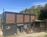 トイプードル(トイ)【山口県・男の子・2024年11月27日・クリーム】の写真11