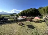 チワプー(チワワ×トイプードル)【山口県・女の子・2025年1月10日・ブラック&ホワイト】の写真9