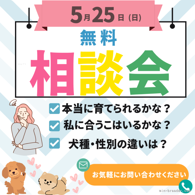 渡邊舞ブリーダー