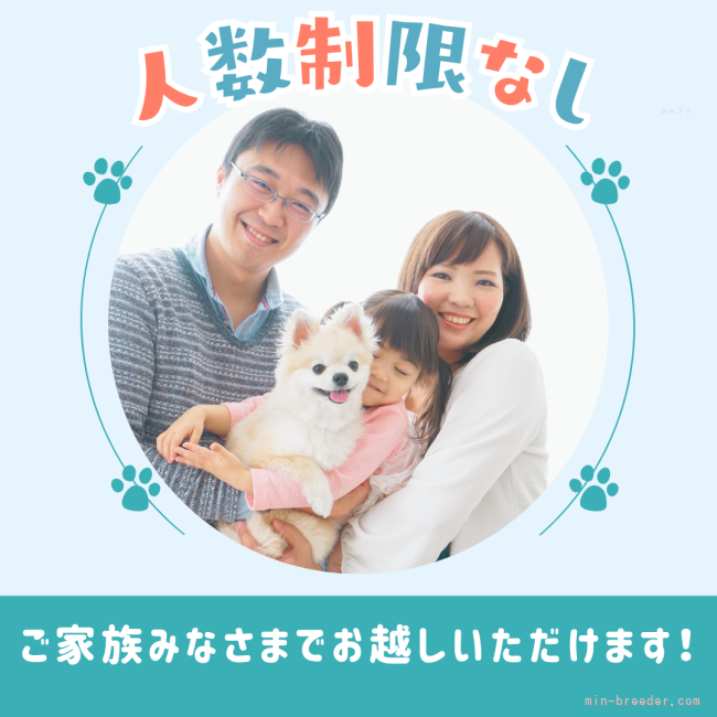 人数制限なし🌼ご家族みなさまでお越しいただけます🐶💓｜渡邊　舞(わたなべ　まい)ブリーダー(千葉県・トイプードルなど・JKC登録)の紹介写真7