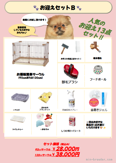 渡邊舞ブリーダーのブログ：🐶 初めてのワンちゃんとの生活【後編】 迎える準備＆必要なグッズ②