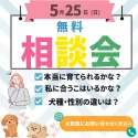 マルプー(マルチーズ×トイプードル)【千葉県・男の子・2025年3月23日・アプリコット】の写真2「💐このようなお悩みの方一度相談会へ参加してみませんか？私たちがサポートさせていただきます🐶💐」