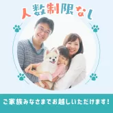 チワワ(ロング)【千葉県・男の子・2025年5月12日・パーティー】の写真14「ご家族みんなでご来店いただけます👪人数制限はありませんので皆さんでお越しください💖」