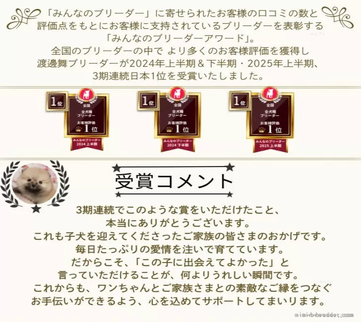 シーちゃん(プロフィール一必須)様 リクエスト 2点 まとめ商品 本日のお友達🩷 ♡レオンちゃん ♡ふくちゃん ♡くるみちゃん