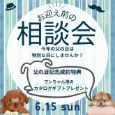 ヨークシャーテリア【千葉県・男の子・2025年4月9日・スティールブルー&タン】の写真2「🎁 父の日限定 ご成約特典あり我が子へはじめてのプレゼント🎁🐶お好きな商品を選べます🍼」