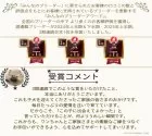 ミニチュアダックスフンド(ロング)【千葉県・男の子・2025年7月3日・シェーデッドレッド】の写真2「3期連続で日本一に選ばれました🏆ありがとうございます😊詳しくはお客様の声へ📢」