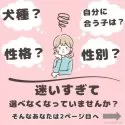 チワワ(ロング)【千葉県・男の子・2025年3月7日・クリーム&ホワイト】の写真2「私たちが、あなたのライフスタイルやご希望をお伺いし性格や特徴に合ったワンちゃん一緒にさがしませんか？」