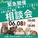 ポメプー(ポメラニアン×トイプードル)【千葉県・女の子・2025年4月21日・アプリコット】の写真2「📣ワンちゃん選びで迷っている方、、お集まりください！！🐶✨」