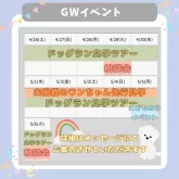 カニンヘンダックスフンド(ロング)【千葉県・女の子・2025年3月9日・シェーデッドレッド】の写真5「📣GW大イベント！ご予約はお早めに！！」