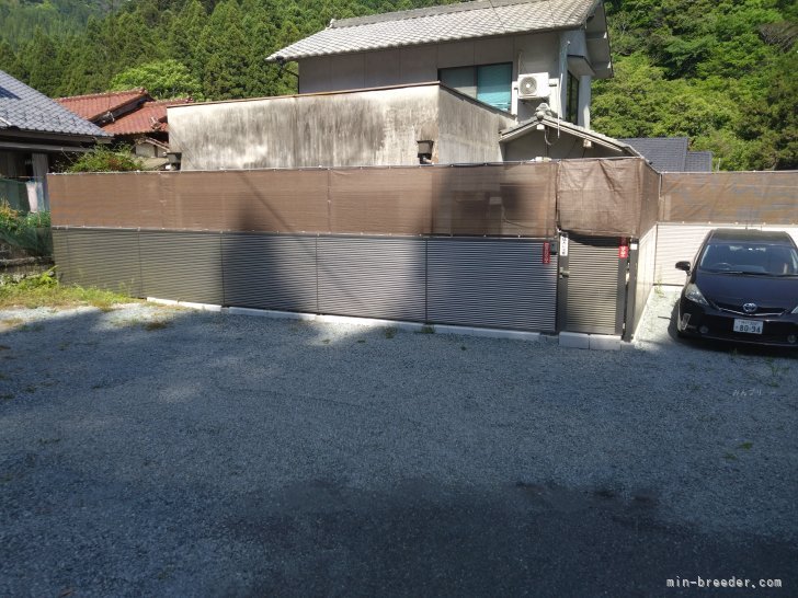 大自然の中で毎日ワンちゃんと過ごしています。｜宮崎　点(みやざき　ともる)ブリーダー(兵庫県・JKC登録)の紹介写真2