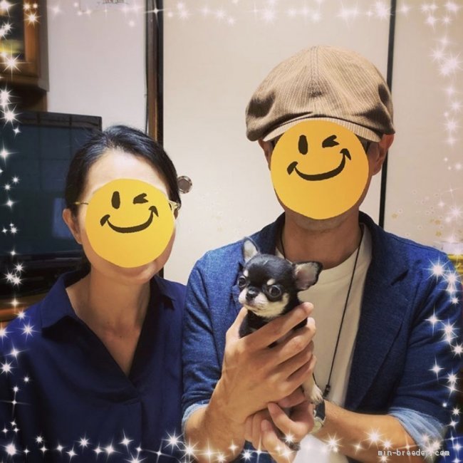 お迎えでした 田中美枝子ブリーダー みんなのブリーダー お迎えでした 田中美枝子ブリーダー みんなのブリーダー