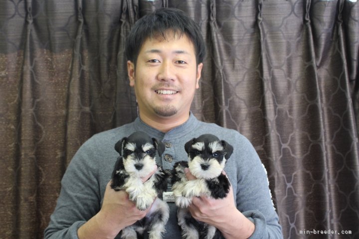 阿部守ブリーダー