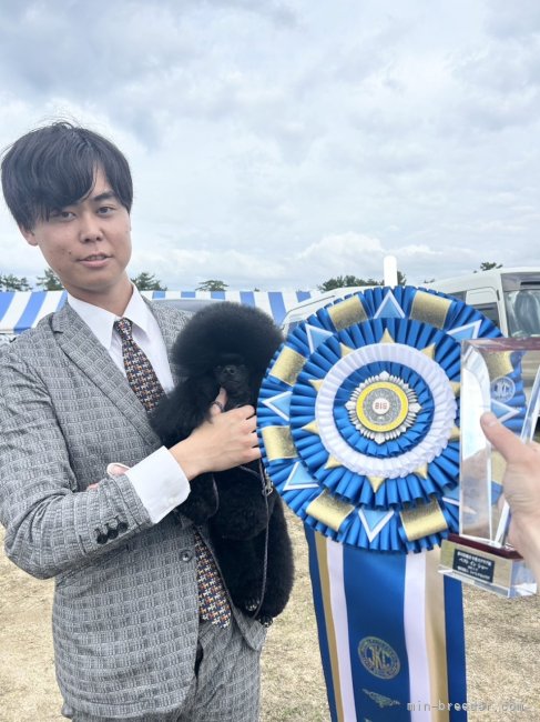 柴田裕太ブリーダー