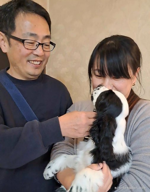 伊藤典子ブリーダーのブログ：私のお気に入り🩷ムーニーっ子のデフィが巣立ちました🍀