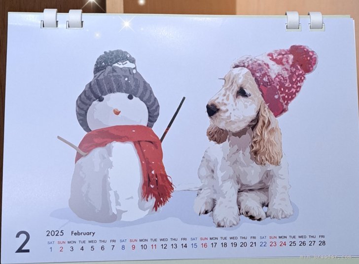 伊藤典子ブリーダーのブログ：💖💖お気に入り💖💖