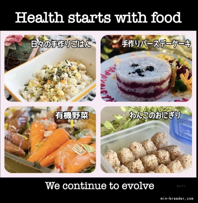 健康は食事から！｜石井　貴之(いしい　たかゆき)ブリーダー(東京都・ビションフリーゼ・JKC登録)の紹介写真8