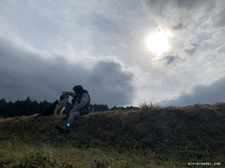 広大な森の中に位置する犬舎にて、日々の散歩の一幕です。｜小野　忠由(おの　ただよし)ブリーダー(大分県・ボーダーコリー・JKC登録)の紹介写真1