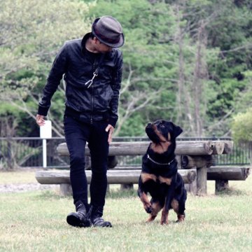 みんなの犬図鑑 宮城県で評判の良いロットワイラーのブリーダー紹介 みんなの犬図鑑 宮城県で評判の良いロットワイラーのブリーダー紹介
